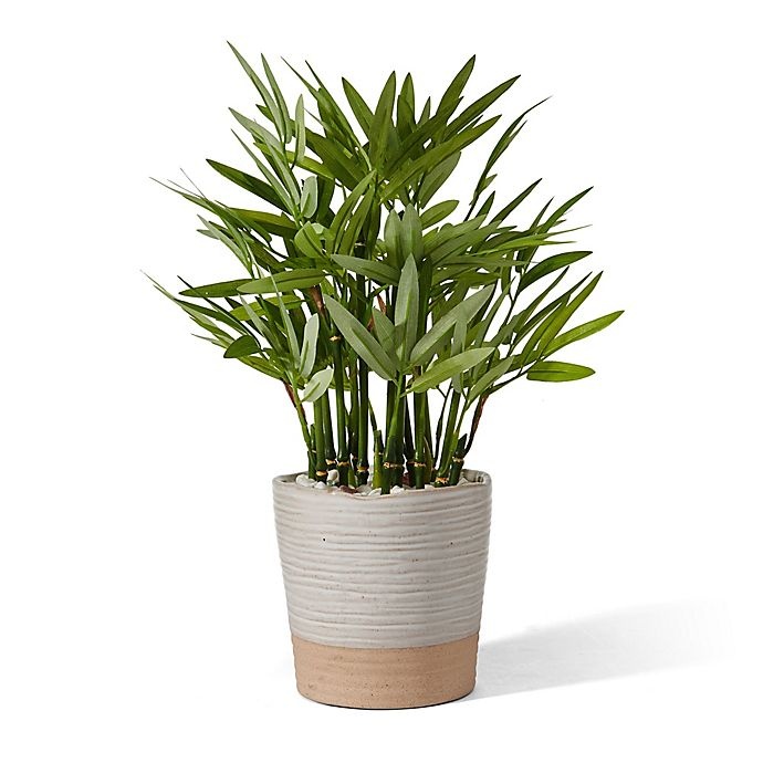 slide 1 of 3, Elements Artificial Bamboo Plant - Ceramic Pot, 15 in