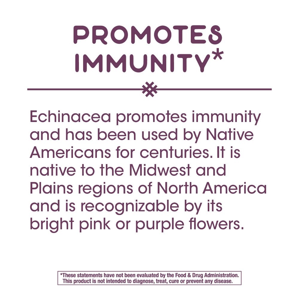 slide 2 of 6, Nature's Way Echinacea Complex Immune Support Capsules, 100 ct