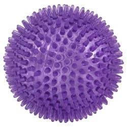 4" Squeak & Light Spiked Ball Dog Toy