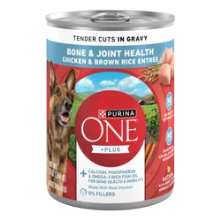 Purina ONE +Plus Tender Cuts in Gravy Adult Bone & Joint Health Chicken & Brown Rice Entree Dog Food 13 oz