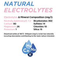 slide 3 of 27, Evian Natural Spring Water 1.05 qt, 1.05 qt