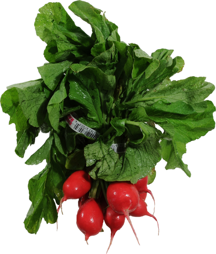 slide 1 of 1, Organic Organic Red Radish Bunch, 1 ct