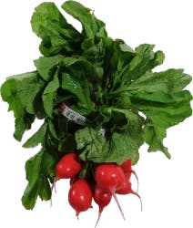 Organic Organic Red Radish Bunch
