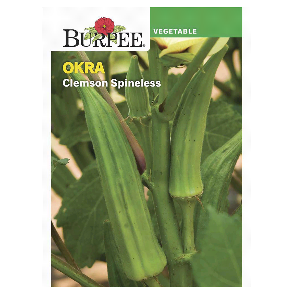 slide 1 of 1, Burpee Clemson Spineless Okra Seeds, 1 ct