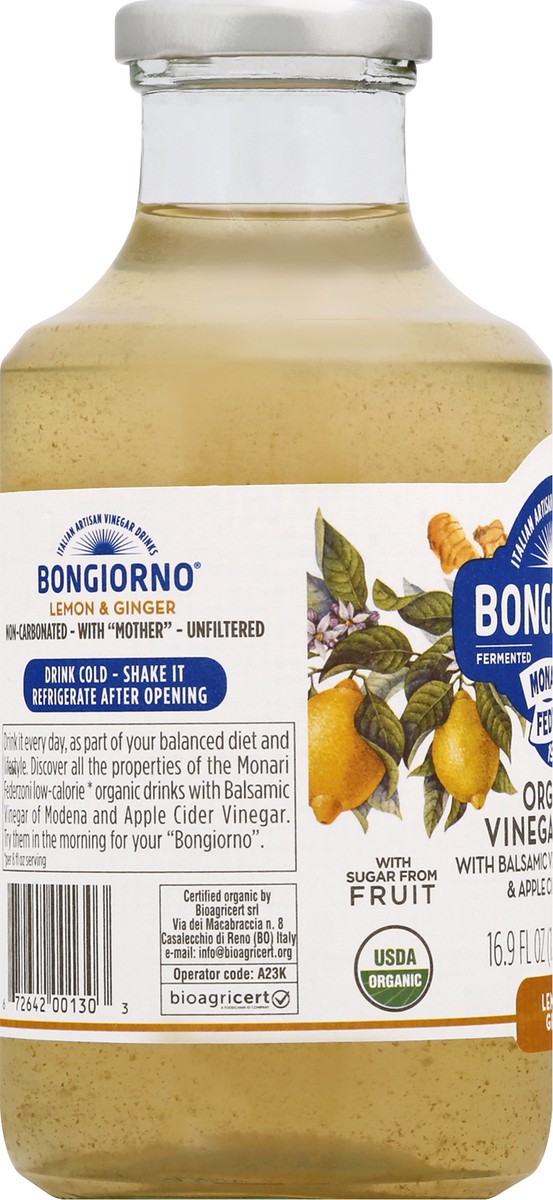 slide 4 of 13, Bongiorno Organic Lemon & Ginger Vinegar Drink - 16.9 fl oz, 16.9 fl oz