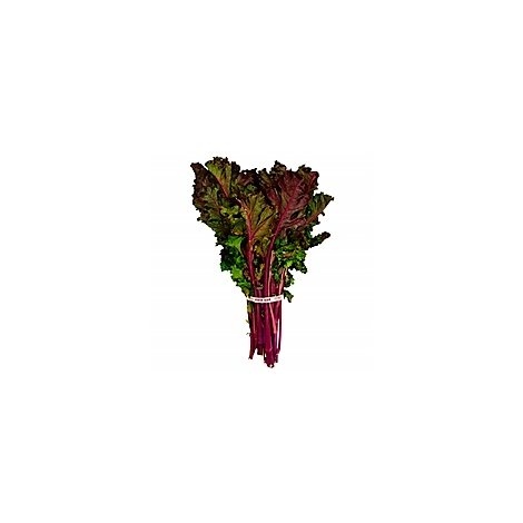 slide 1 of 1, Cal-Organic Farms Red Kale - Organic, 1 Each, 1 ct