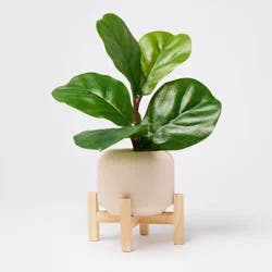 11.5" Faux Fiddle Leaf Plant with Stone Pot and Wooden Stand - Threshold™