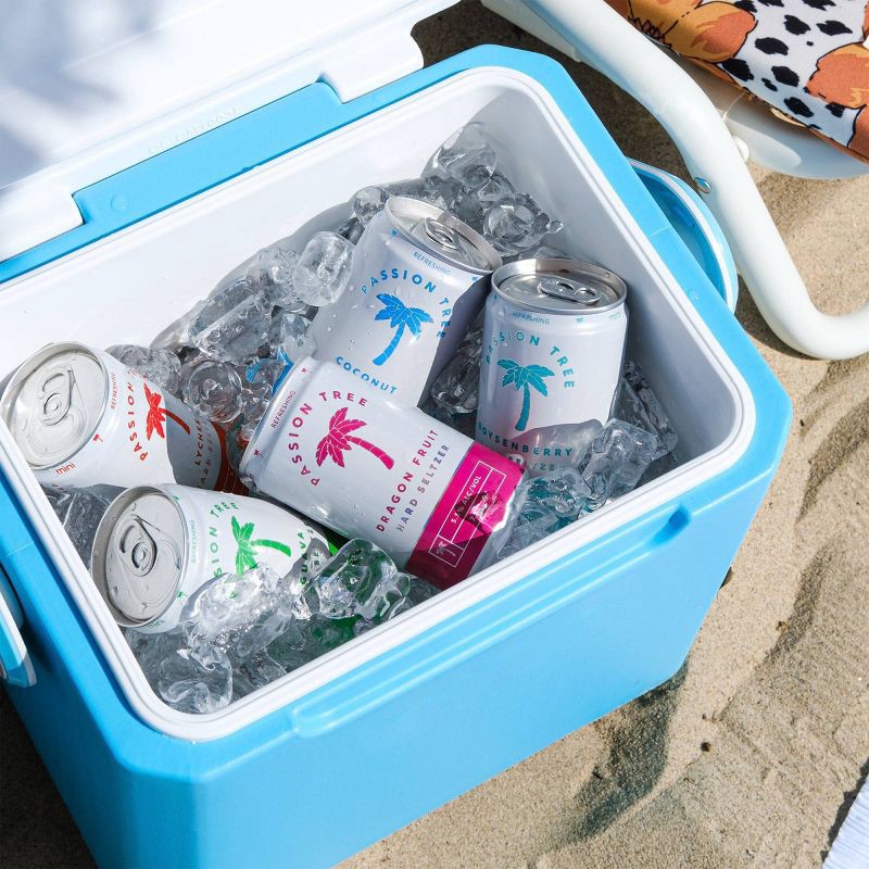 slide 2 of 8, Passion Tree minis Hard Seltzer Variety Pack - 10pk/7.5 fl oz, 10 ct; 7.5 fl oz