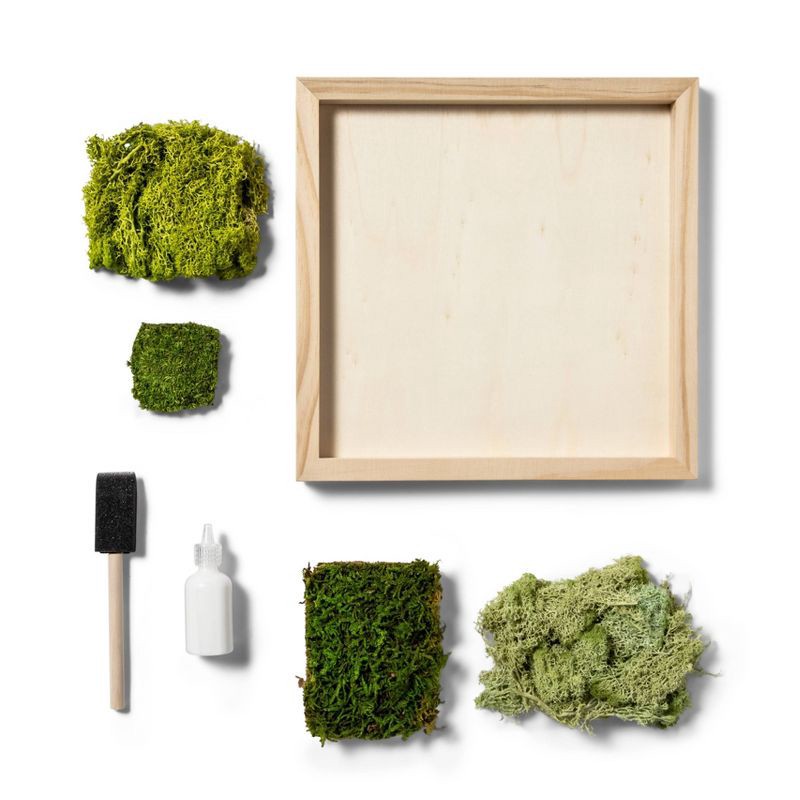 slide 2 of 4, Preserved Moss Art Wood Craft Kit - Mondo Llama™, 1 ct