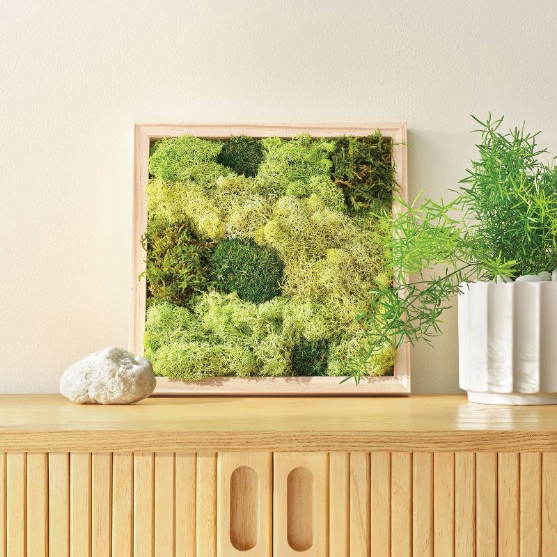 slide 4 of 4, Preserved Moss Art Wood Craft Kit - Mondo Llama™, 1 ct