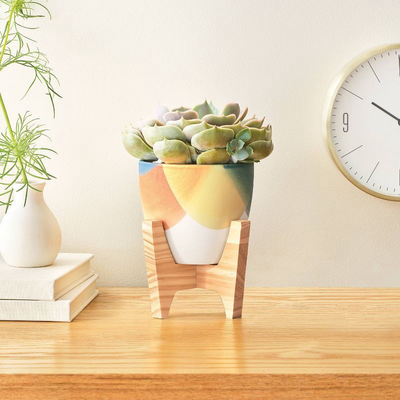 slide 4 of 4, Dip Painting Planter DIY Art Kit - Mondo Llama™, 1 ct