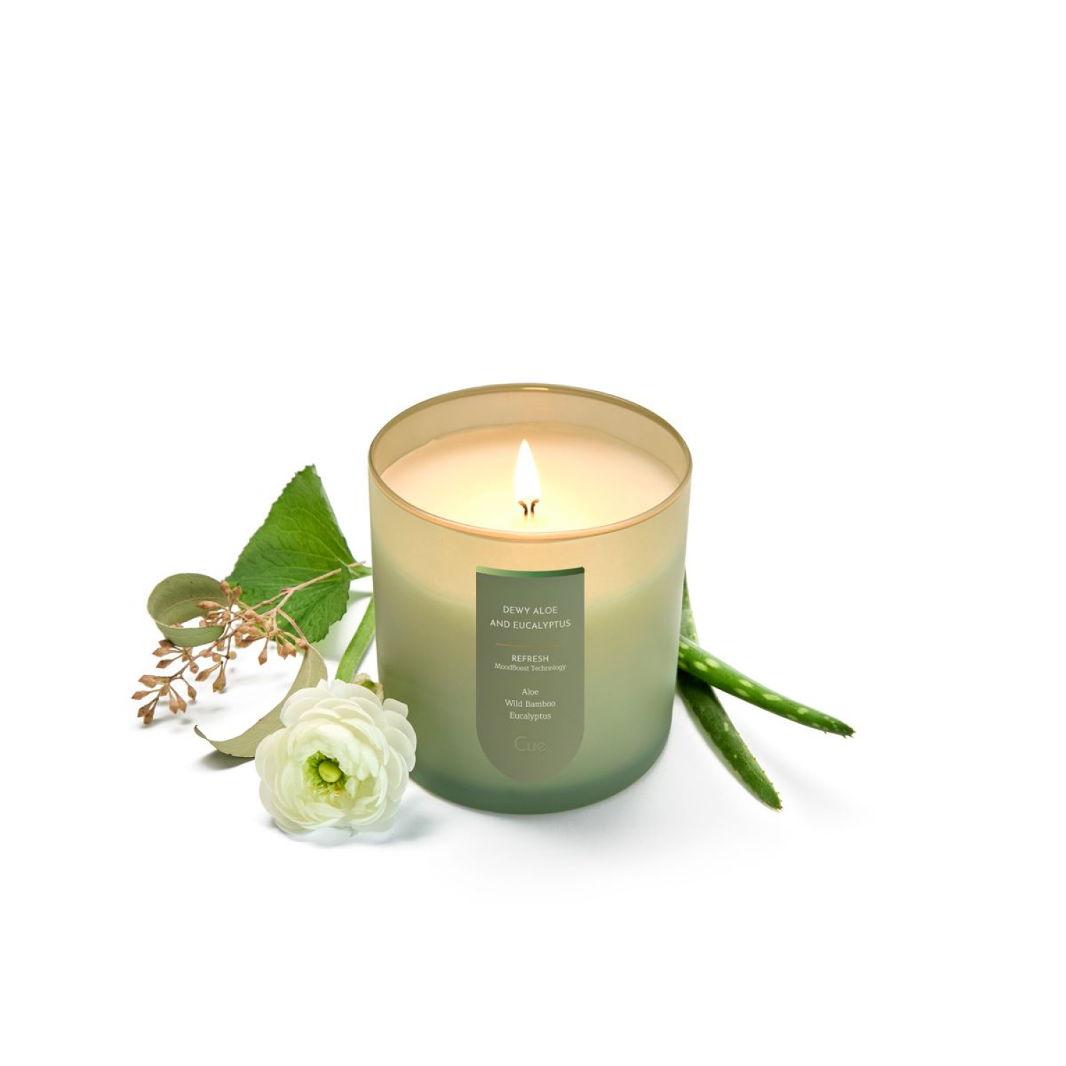 slide 2 of 2, Wellness Dewy Aloe And Eucalyptus 8.5oz, 8.5 oz