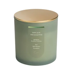 Wellness Dewy Aloe And Eucalyptus 8.5oz