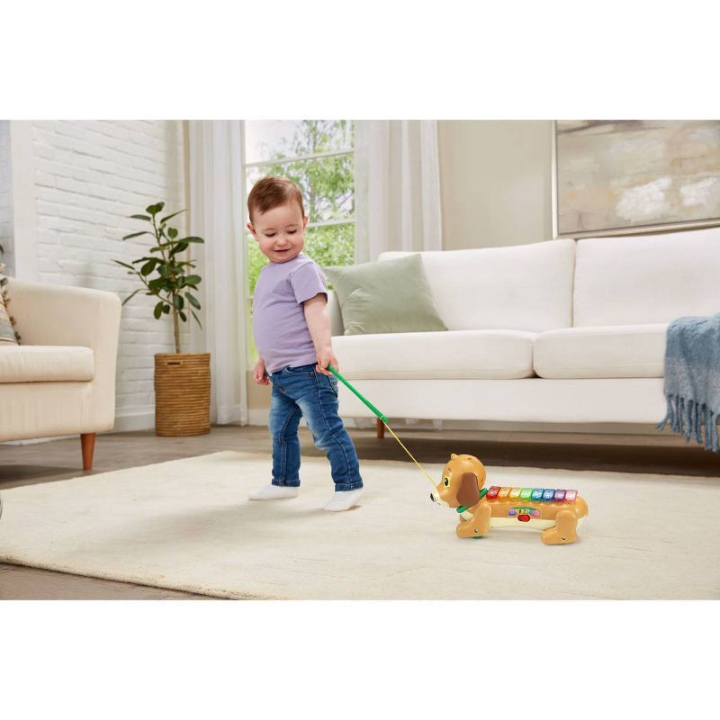 slide 4 of 9, VTech Zoo Jamz Doggy Xylophone, 1 ct