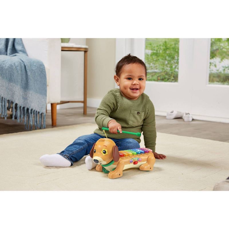 slide 7 of 9, VTech Zoo Jamz Doggy Xylophone, 1 ct