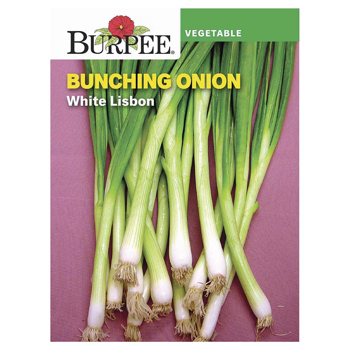 slide 1 of 5, Burpee Onion White Lisbon Bunching Seeds, 1 ct