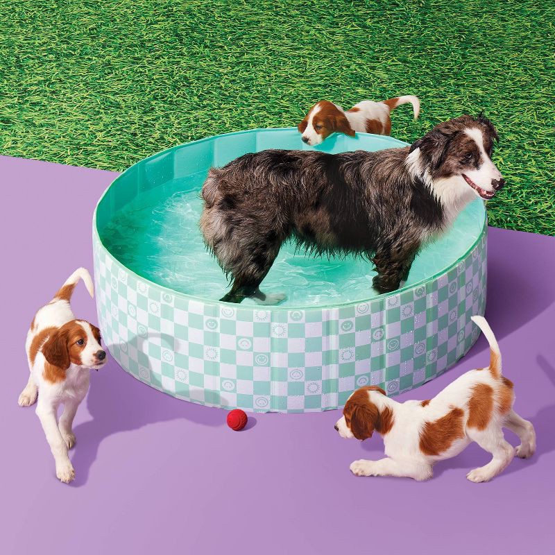 slide 2 of 3, 12" x 40" Round Inflatable Dog Pool - Sun Squad™, 1 ct