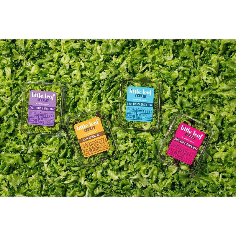 slide 5 of 5, Fresh Little Leaf Farms Baby Crispy Green Leaf Lettuce - 4oz, 4 oz