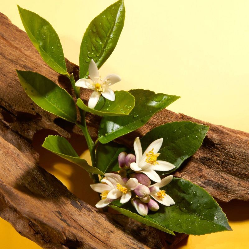 slide 4 of 6, Saltair Ocean Orange Heat Protectant Spray - 7oz, 7 oz