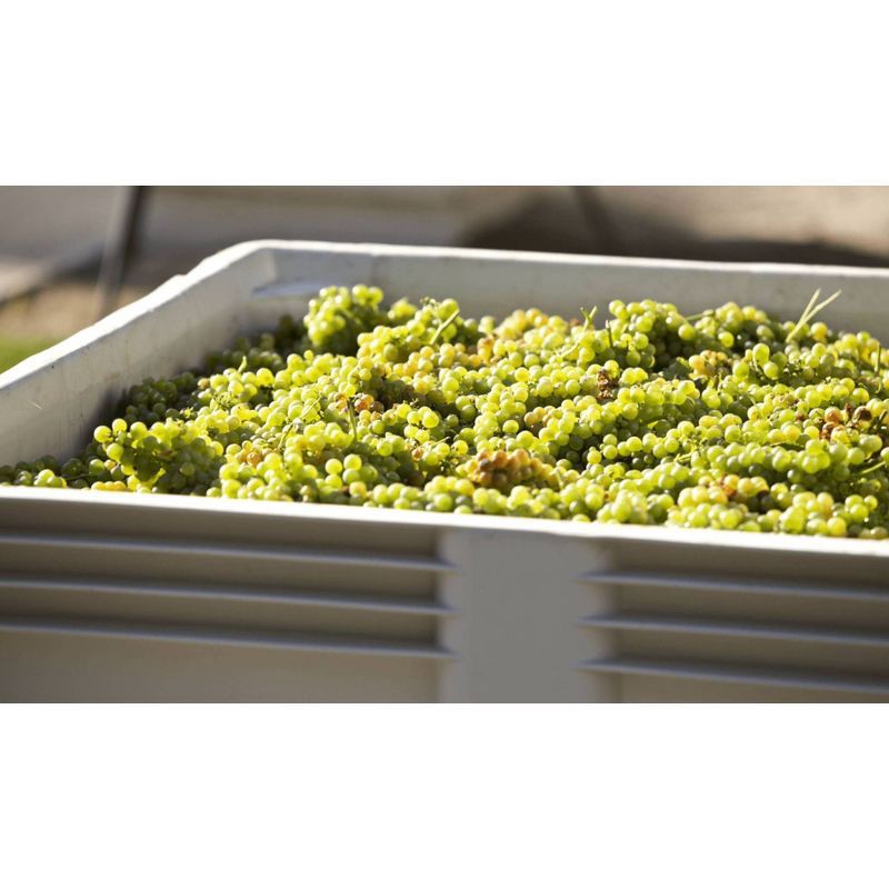 slide 4 of 5, Andre Pineapple Mimosa Cocktail - 750ml Bottle, 750 ml