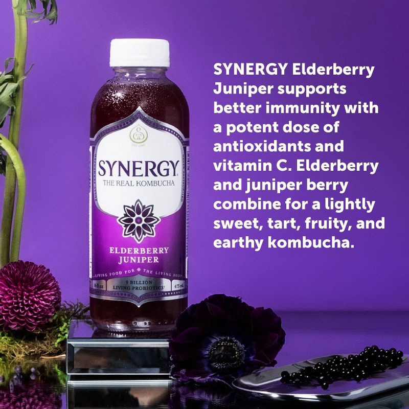 slide 2 of 6, GT's Synergy Elderberry Juniper Organic Raw Kombucha – 16 fl oz, 16 fl oz