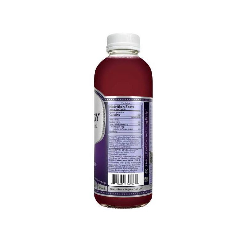 slide 3 of 3, GT's Synergy Elderberry Juniper Raw Kombucha - 16 fl oz, 16 fl oz