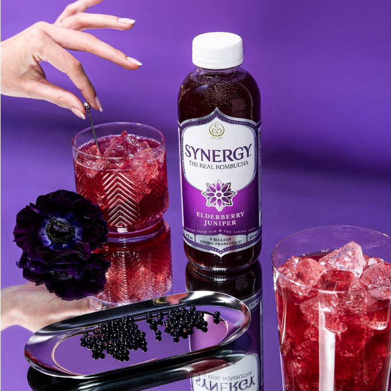 slide 5 of 6, GT's Synergy Elderberry Juniper Organic Raw Kombucha – 16 fl oz, 16 fl oz