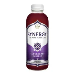 GT's Synergy Elderberry Juniper Organic Raw Kombucha – 16 fl oz