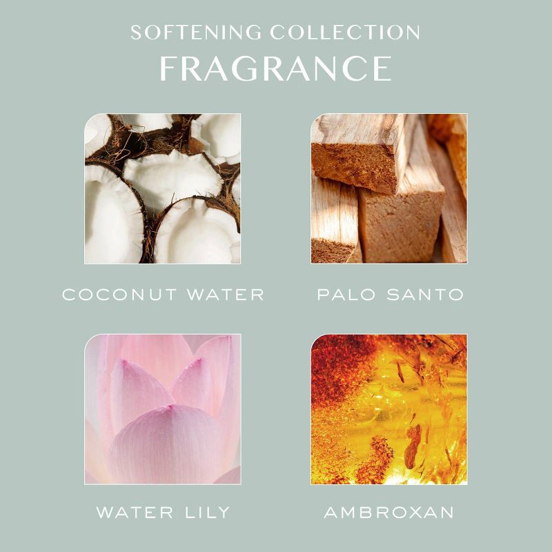 slide 4 of 7, Kristin Ess Softening Lightweight Hair Oil - Treat + Moisturize for Shiny Hair - 1.69 fl oz, 1.69 fl oz