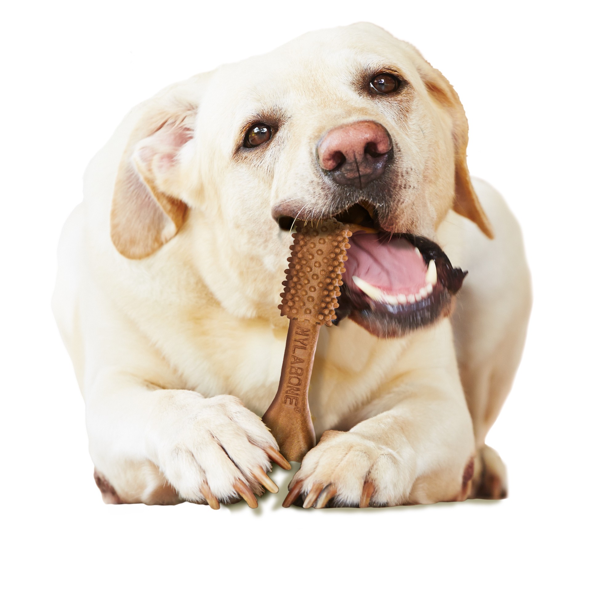 slide 2 of 10, Nutri Dent Value Pack Large Filet Mignon Flavor Dog Treats 20 ea, 20 ct