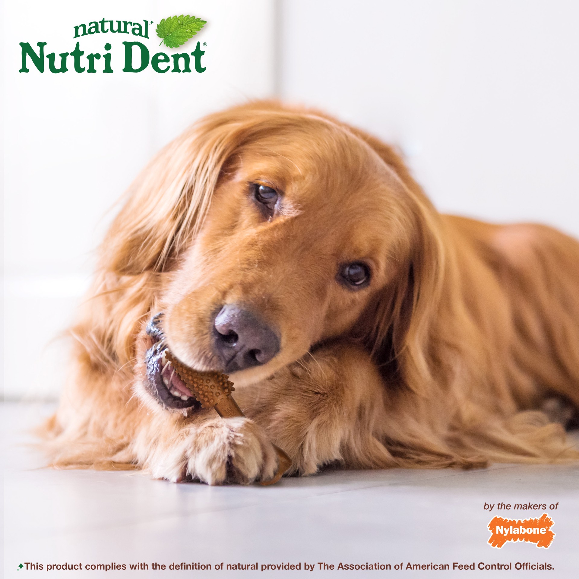 slide 7 of 10, Nutri Dent Value Pack Large Filet Mignon Flavor Dog Treats 20 ea, 20 ct