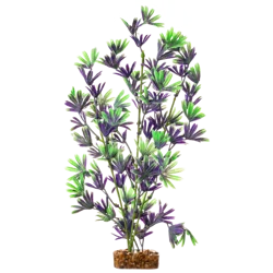 GloFish Plant Large Purple/Green