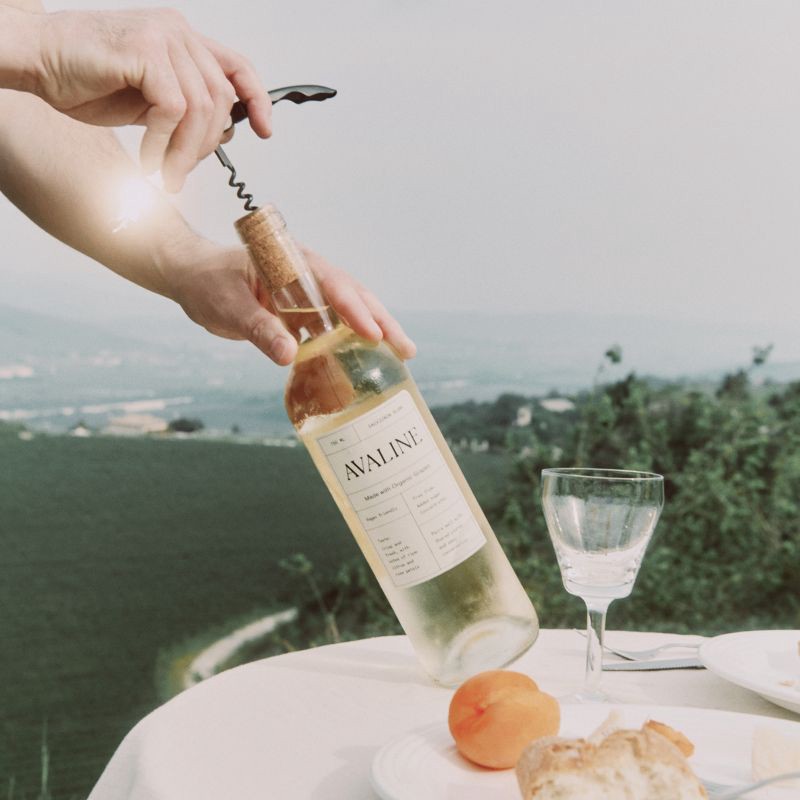 slide 4 of 5, Avaline Wines Sauvignon Blanc - 750ml Bottle, 750 ml