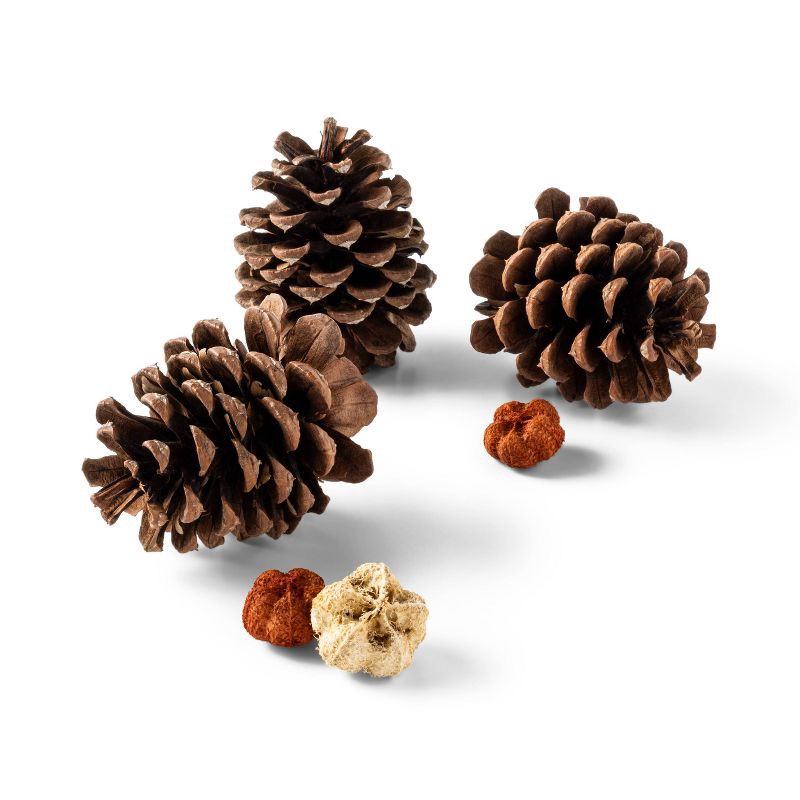 slide 2 of 3, Rooms in Bloom Pecan Caramel Scented Harvest Pine Cones With Accents, 1 ct