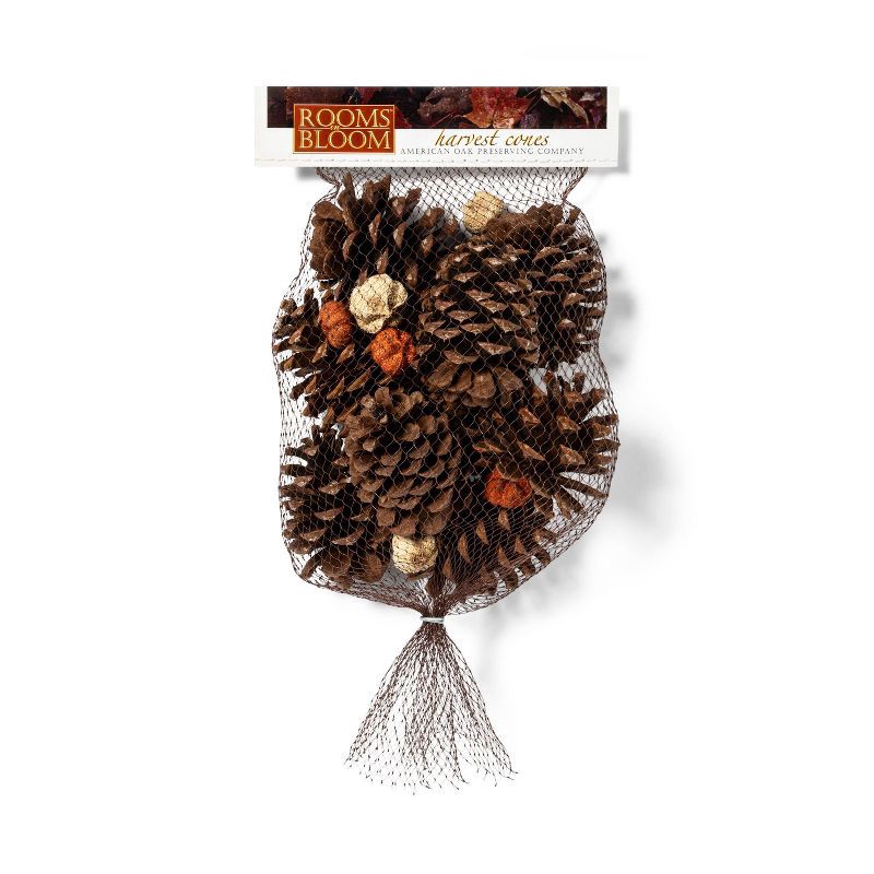 slide 1 of 3, Rooms in Bloom Pecan Caramel Scented Harvest Pine Cones With Accents, 1 ct