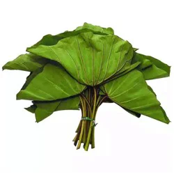 Fresh Luau Leaves - 1lb