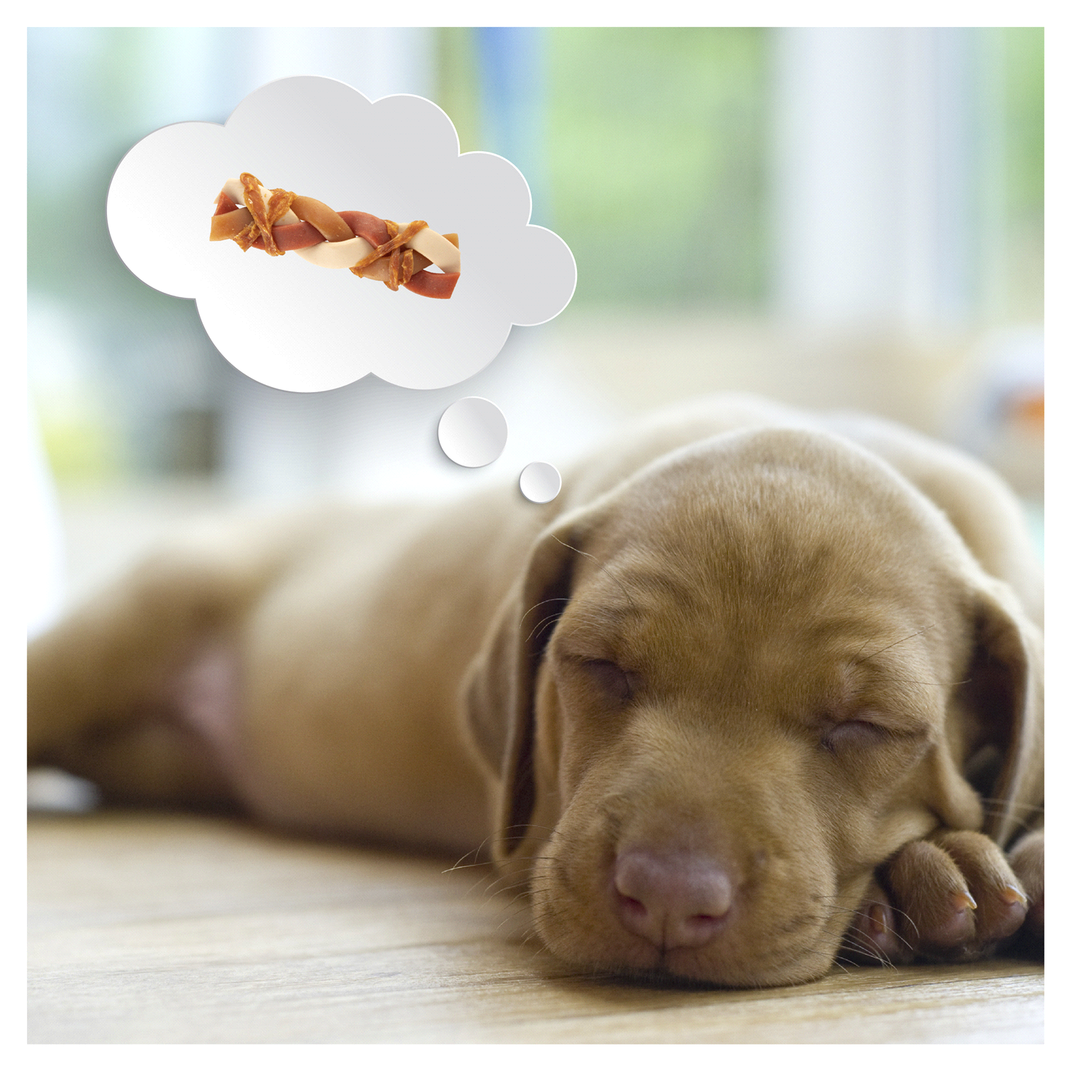 slide 4 of 5, DreamBone Triple Flavor Braidz Wrapped With Chicken, Rawhide-Free Chews For Dogs, 5 ct