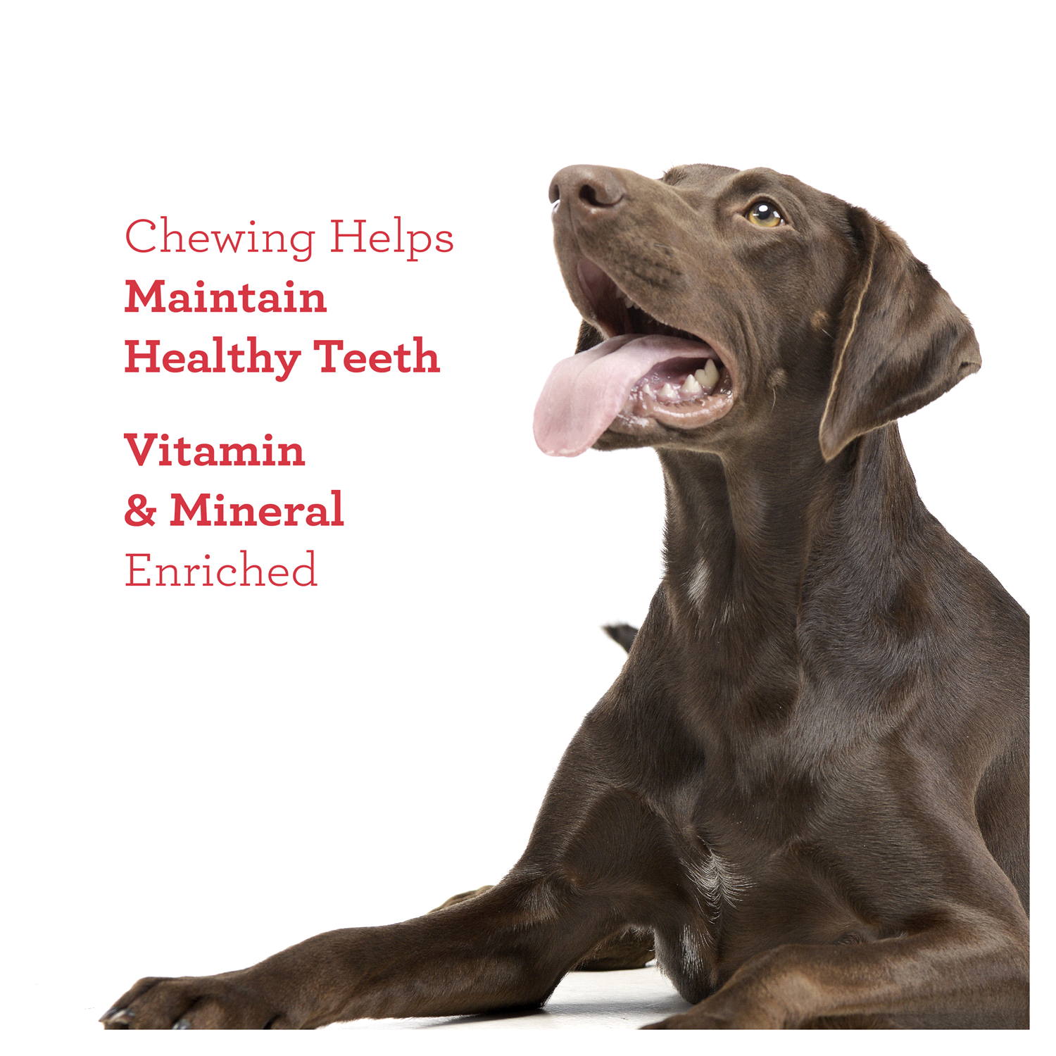 slide 5 of 5, DreamBone Triple Flavor Braidz Wrapped With Chicken, Rawhide-Free Chews For Dogs, 5 ct