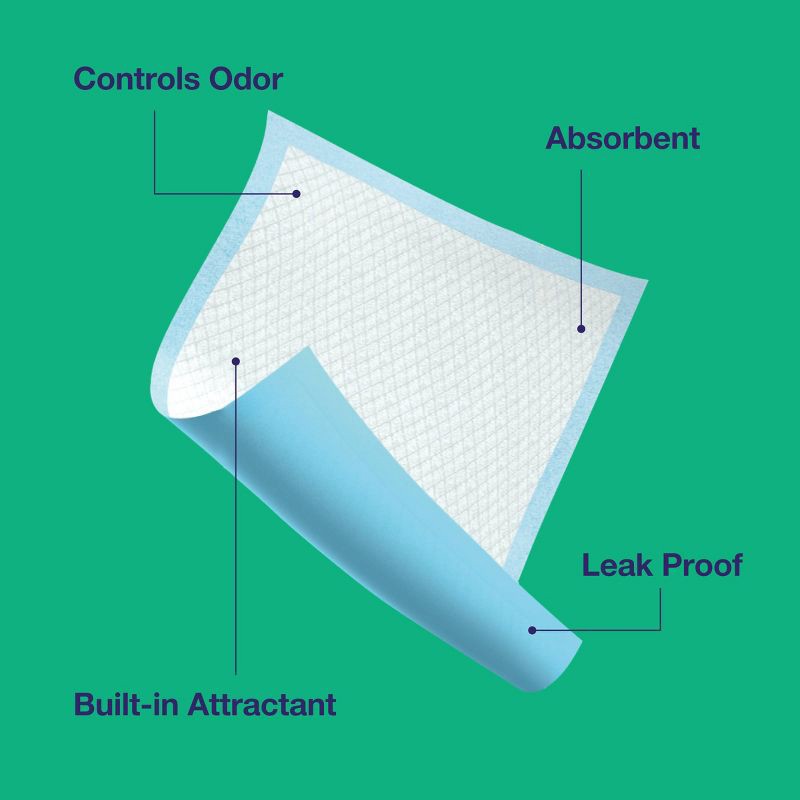 slide 5 of 6, Puppy and Adult Dog Scented Training Pads - L - Forest Scent - 50ct - up&up™, 50 ct