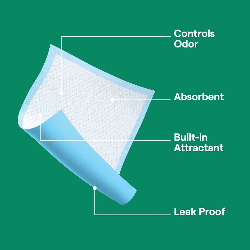 slide 6 of 6, Puppy and Adult Dog Scented Training Pads - L - Forest Scent - 50ct - up&up™, 50 ct
