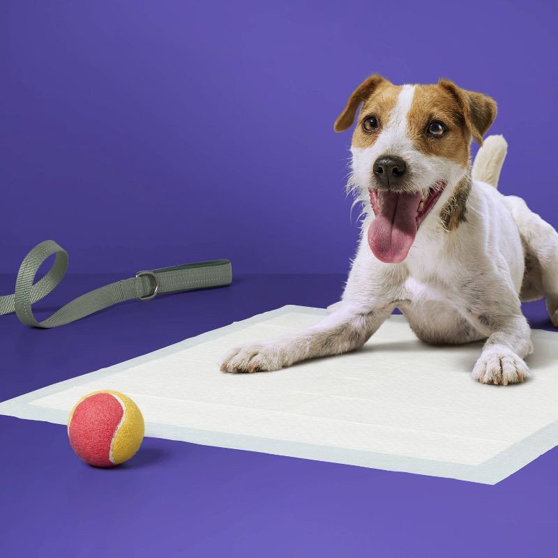 slide 2 of 5, Puppy and Adult Dog Extra Absorbency Heavy Duty Training Pads - L - 25ct - up&up™, 25 ct