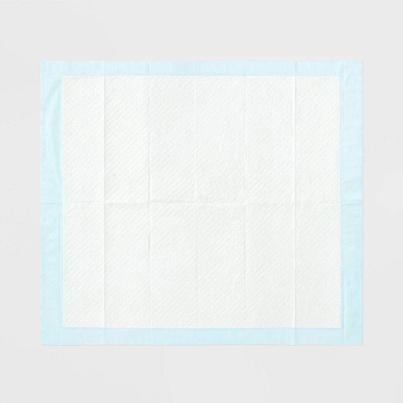 slide 3 of 5, Puppy and Adult Dog Extra Absorbency Heavy Duty Training Pads - L - 25ct - up&up™, 25 ct