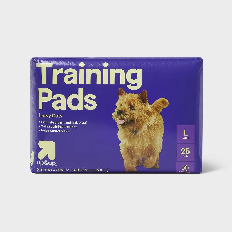 slide 1 of 5, Puppy and Adult Dog Extra Absorbency Heavy Duty Training Pads - L - 25ct - up&up™, 25 ct