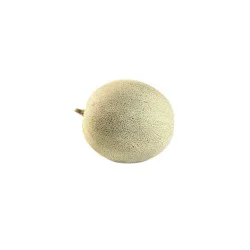 Cantaloupe Musk Melon