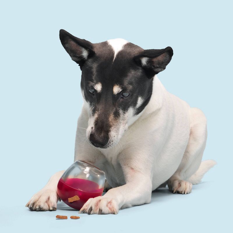 slide 5 of 6, BARK Super Chewer Vino Vidi Vici Dog Treat Dispenser Toy, 1 ct