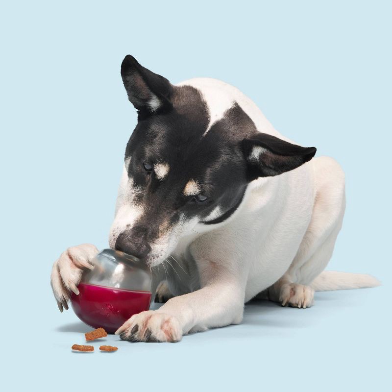 slide 6 of 6, BARK Super Chewer Vino Vidi Vici Dog Treat Dispenser Toy, 1 ct