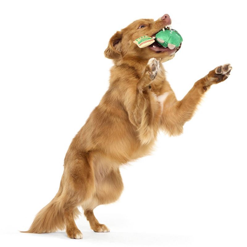 slide 5 of 7, BARK Pizza Delivery Raccoon Dog Plush Toy, 1 ct