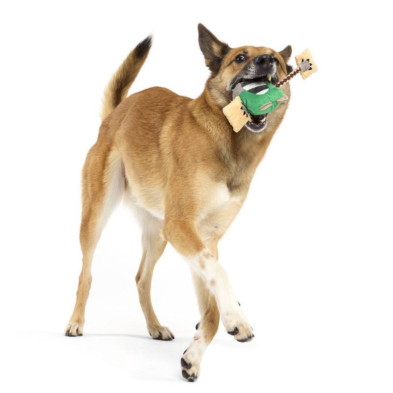 slide 7 of 7, BARK Pizza Delivery Raccoon Dog Plush Toy, 1 ct