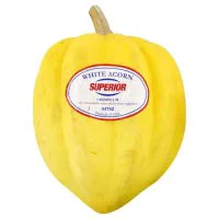 Squash Acorn White