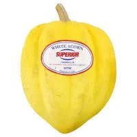 Squash Acorn White
